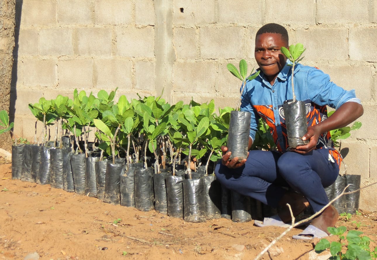 Plant more trees for a healthy planet