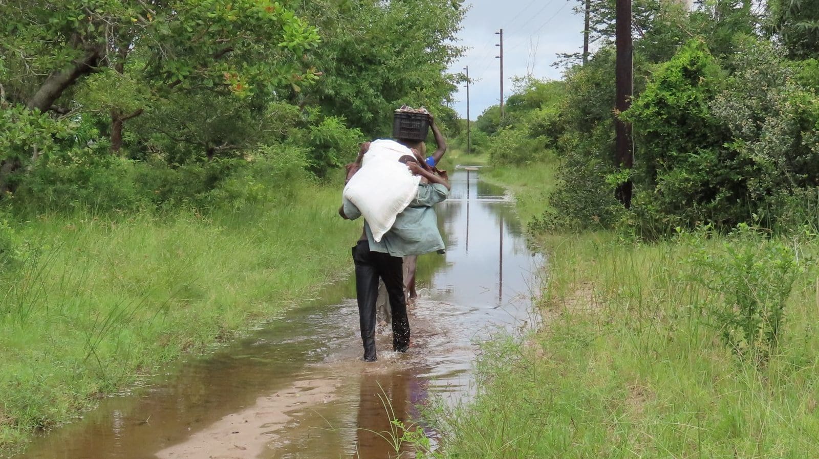 Stand With the Farmers Who Feed Mozambique​ scaled e1778795277761
