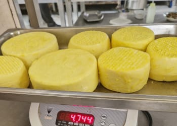 Climate‑positive dairy production in Mozambique featuring artisanal cheese, milk, yogurt, butter and whey protein from Lamor®.