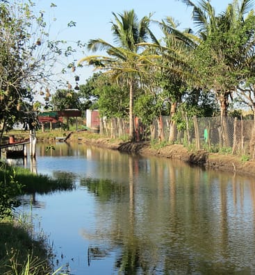 sustainable-fish-farming