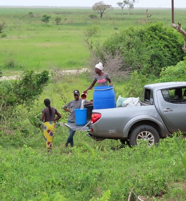 Growing a Greener Future: Community-Led Reforestation in Mozambique
