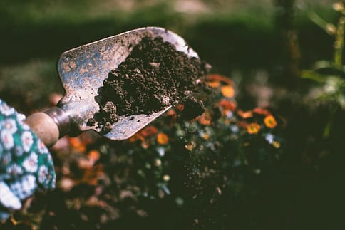 person-digging-on-soil-using-garden-shovel-484x323