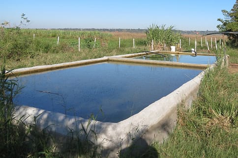 Waterhole for the Wildlife