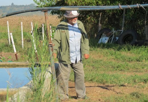 Agroforestry and Soil Management