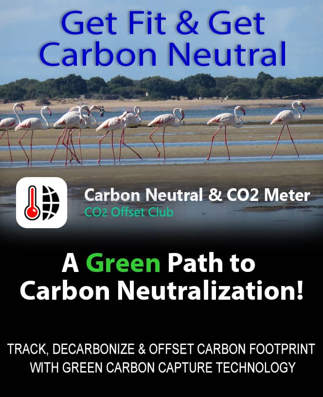 Get-Fit-Get-Green-Carbon neutrality