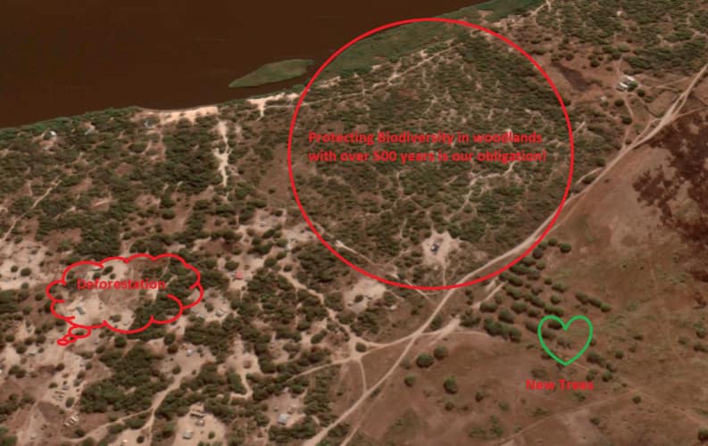 land top forestry01 text e1576174502547